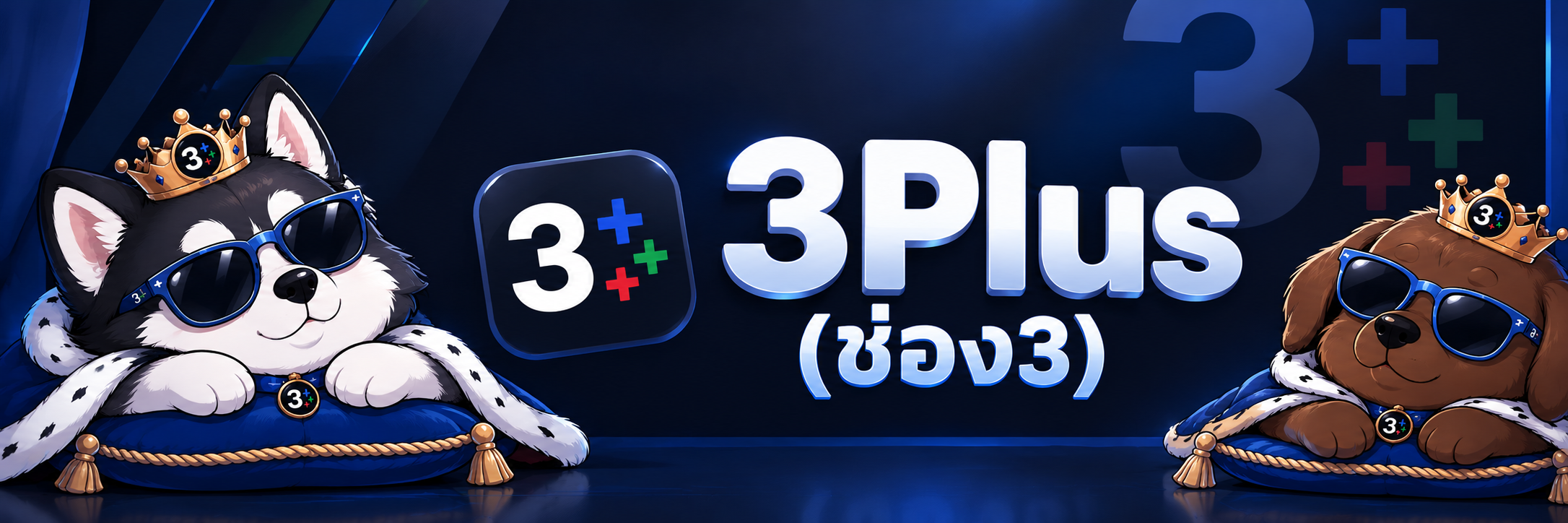 หมวดหมู่ 3Plus